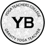 YB Yoga Trapeze Teacher